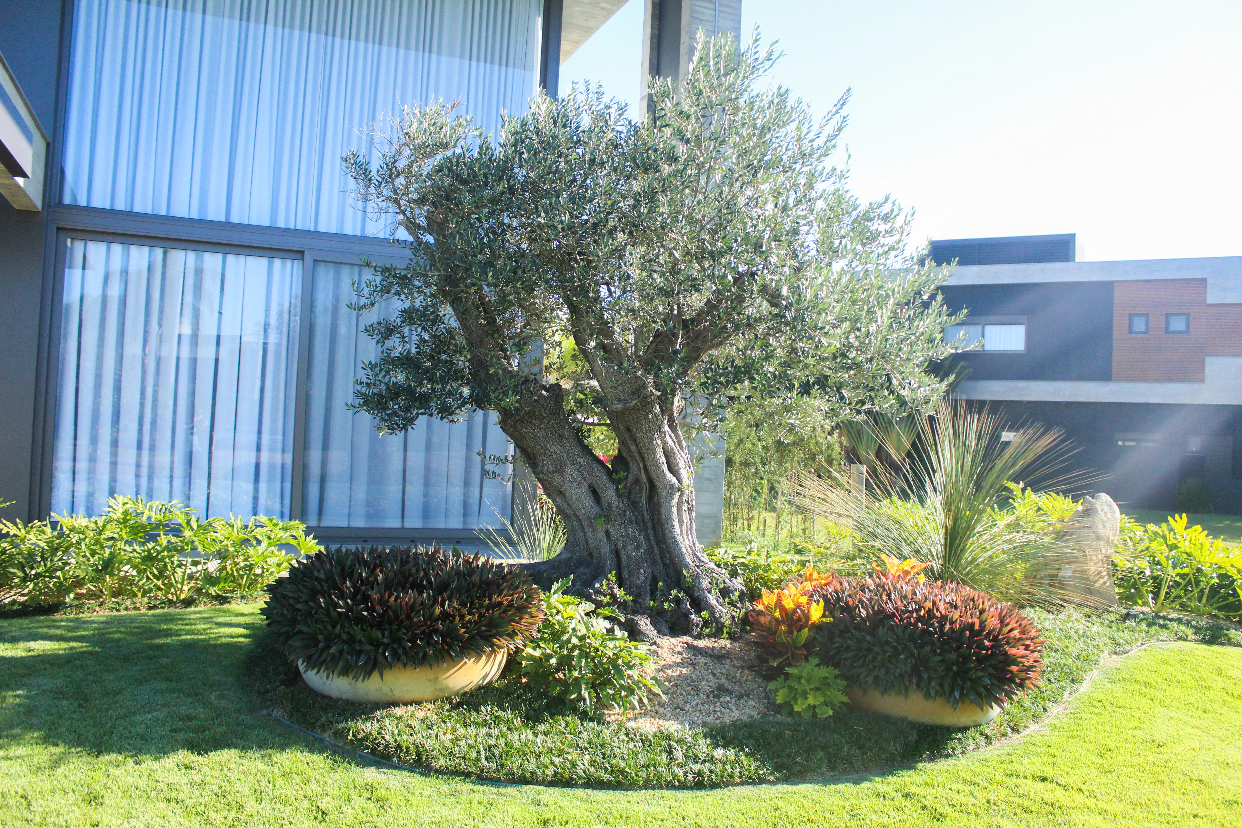 Detalhe de jardim com vegetação tropical