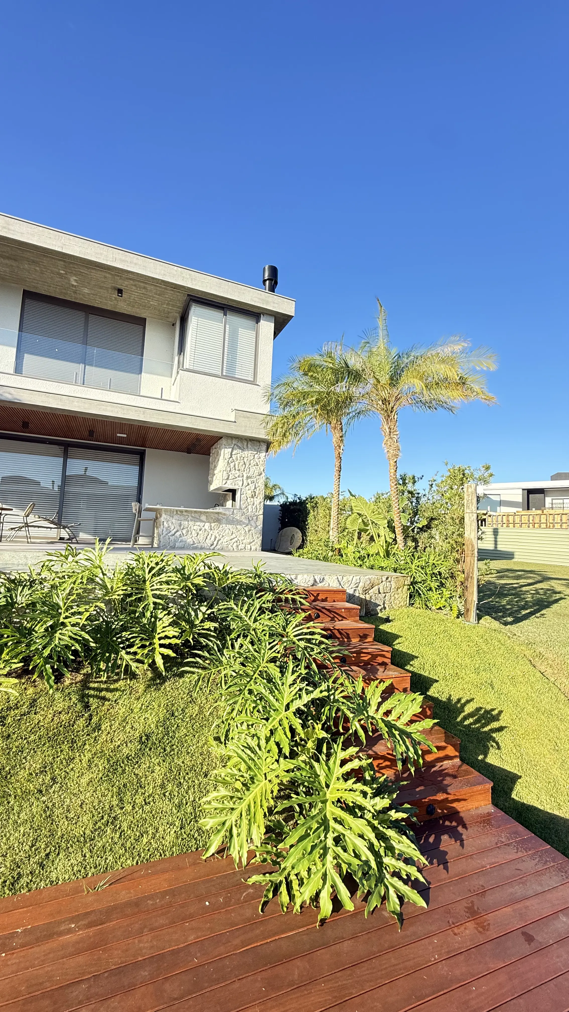 Jardim com oliveira e vegetação de alto padrão