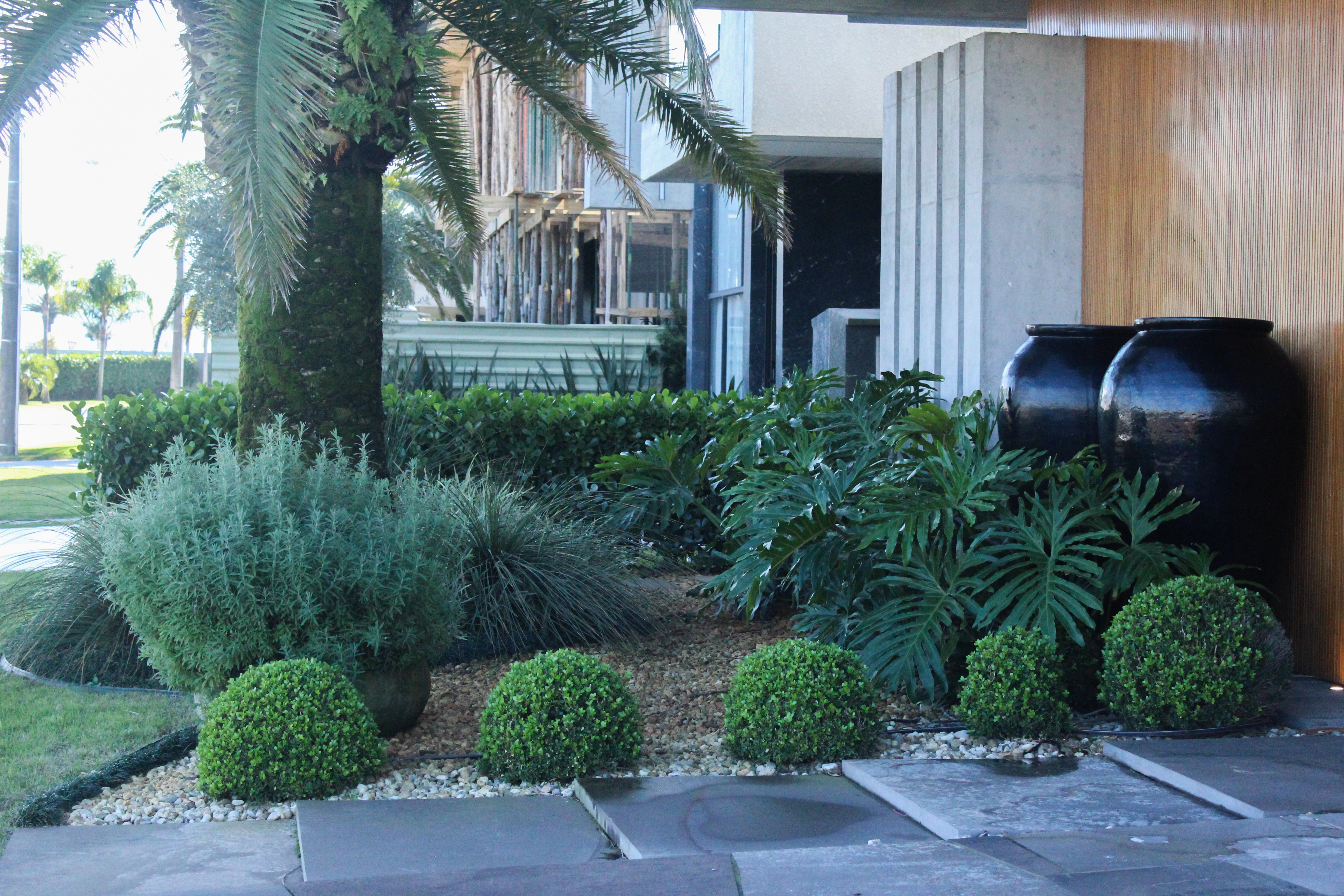 Entrada de residência com palmeira e jardim projetado